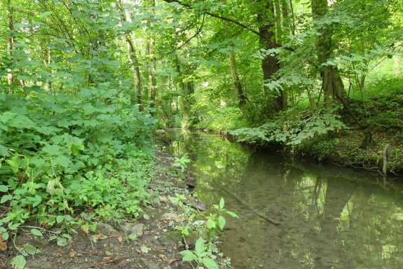 Foto Igeler Mühle 