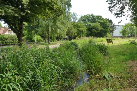 Foto Buchmühle