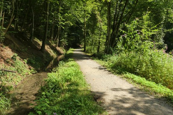 Foto Mühlgraben entlang Wanderweg